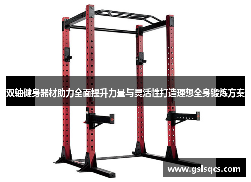 双轴健身器材助力全面提升力量与灵活性打造理想全身锻炼方案