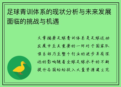足球青训体系的现状分析与未来发展面临的挑战与机遇