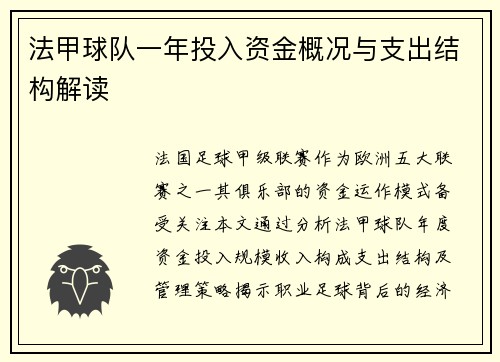 法甲球队一年投入资金概况与支出结构解读